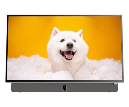 Telewizor 32" lub mniejszy Metz 24MPE7000Z  24" LED Full HD Google TV  Portable TV,  Matte S